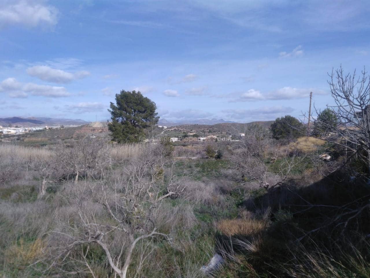 2 sypialnia Finka/Dom wiejski na sprzedaż w Cantoria - 45 000 € (Ref: 4423476)