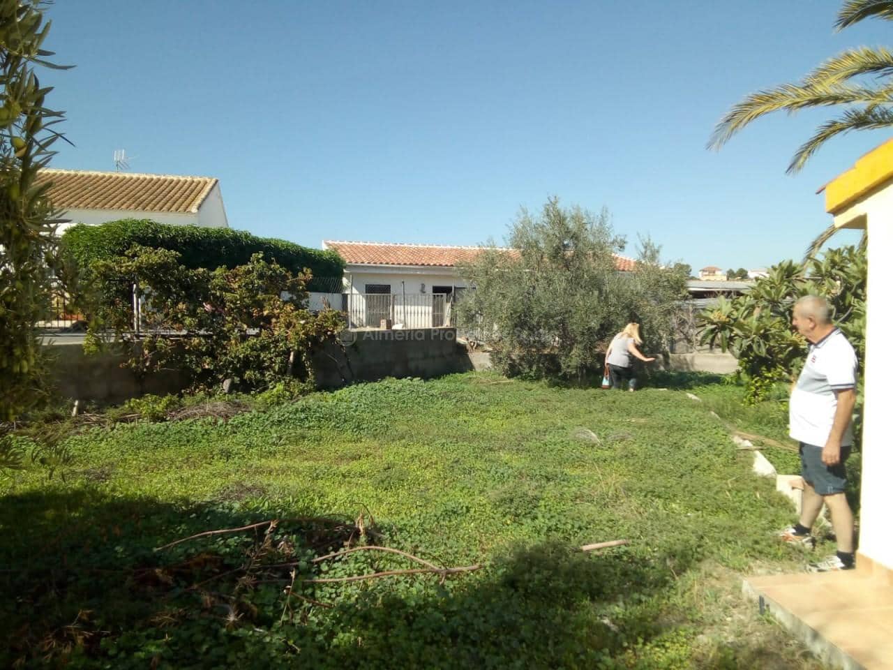 3 soveværelse Finca/Landehus til salg i Arboleas - € 105.000 (Ref: 4852050)