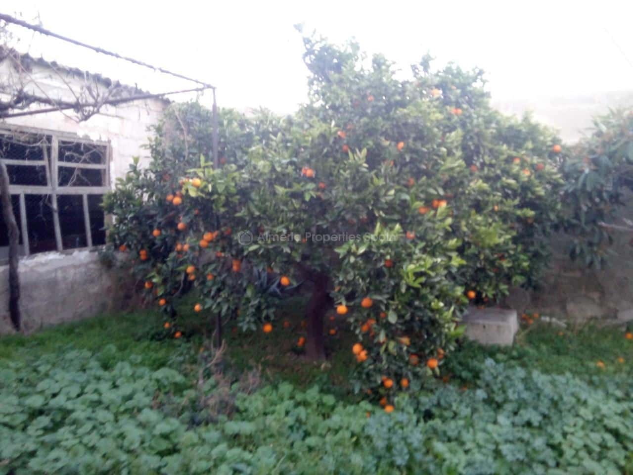 3 slaapkamer Huis te koop in Albox - € 120.000 (Ref: 5126268)