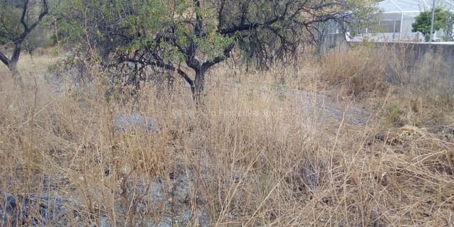 Finca/Casa di Campagna in vendita in Albanchez - 14.000 € (Rif: 5453457)