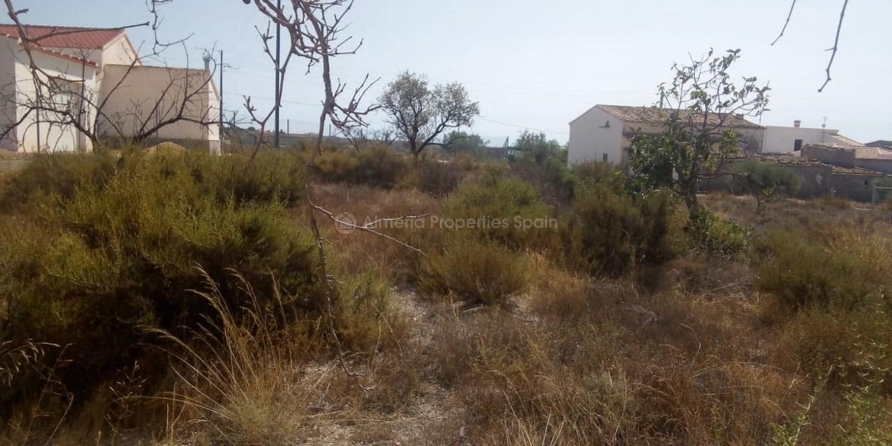 Finca/Country House for sale in Albox - € 50,000 (Ref: 5614052)