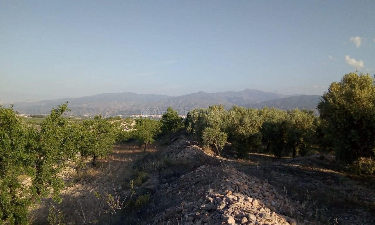 3 soveværelse Finca/Landehus til salg i Tijola - € 210.000 (Ref: 6383187)