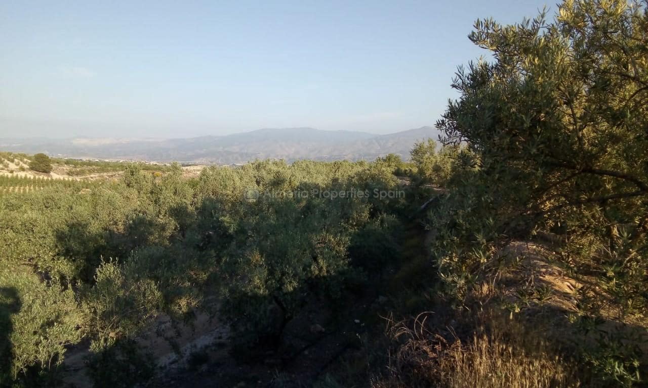 3 soveværelse Finca/Landehus til salg i Tijola - € 210.000 (Ref: 6383187)