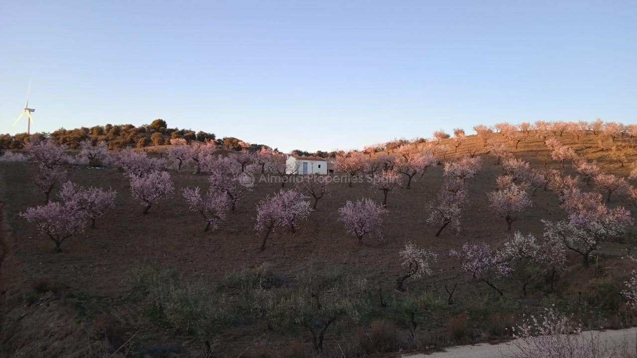 Finca/Maison de Campagne à vendre à Velez-Rubio - 40 000 € (Ref: 6699698)