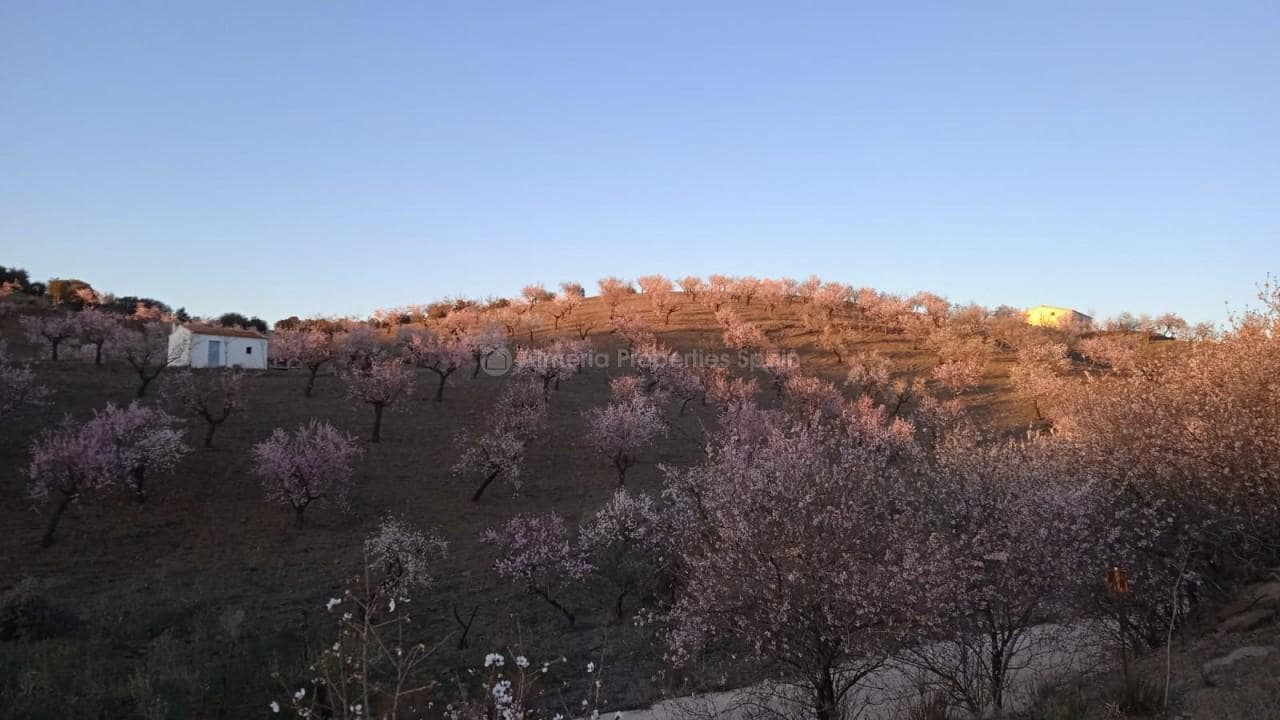 Finca/Maison de Campagne à vendre à Velez-Rubio - 40 000 € (Ref: 6699698)