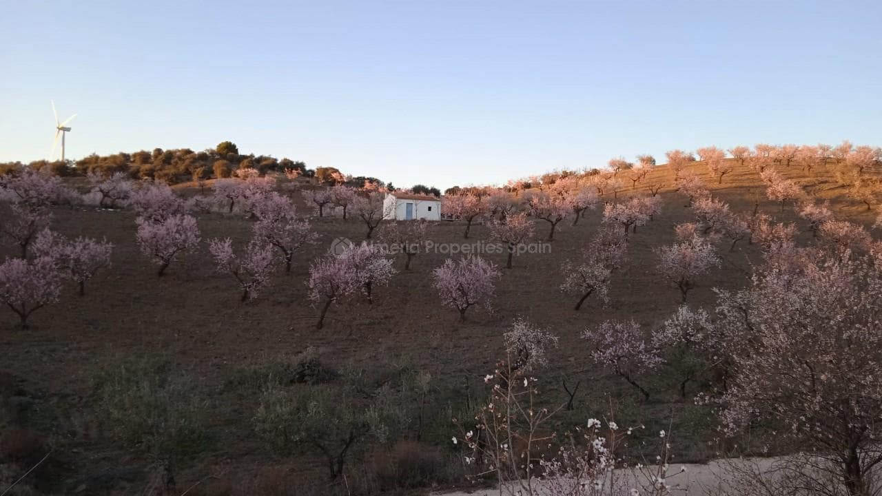 Finca/Maison de Campagne à vendre à Velez-Rubio - 40 000 € (Ref: 6699698)
