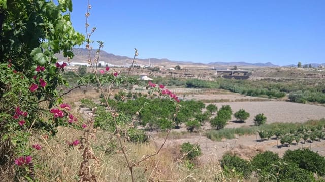 3 camera da letto Finca/Casa di Campagna in vendita in Albox - 197.000 € (Rif: 7361719)