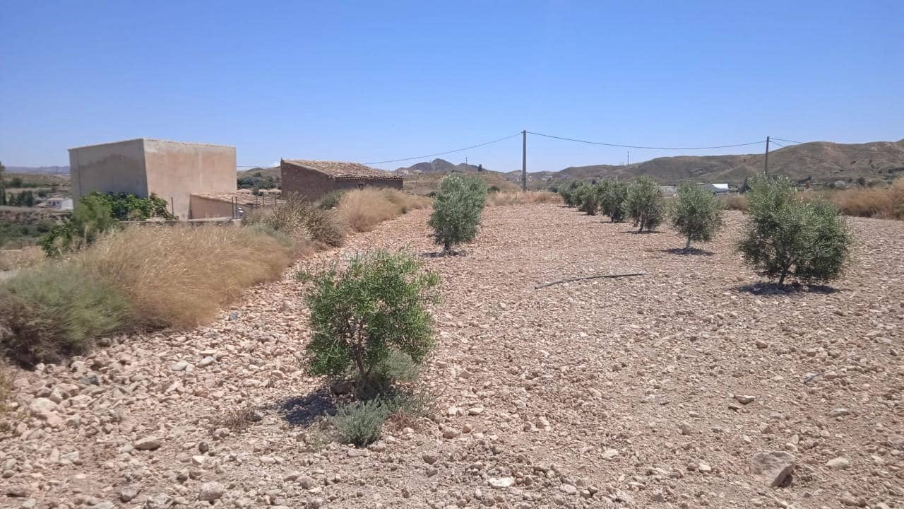 3 camera da letto Finca/Casa di Campagna in vendita in Albox - 197.000 € (Rif: 7361719)