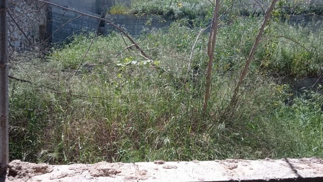 Finca/Landehus til salg i Arboleas - € 45.000 (Ref: 7361730)