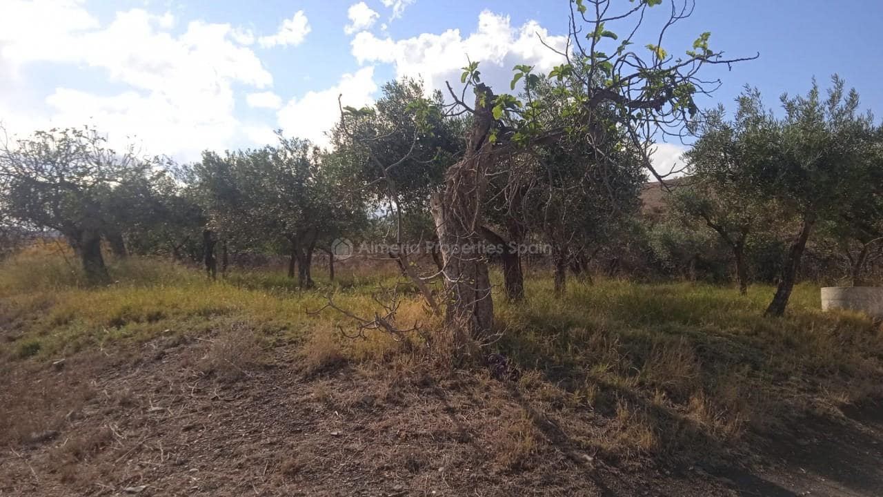 4 soveværelse Finca/Landehus til salg i Tabernas - € 146.000 (Ref: 7656575)