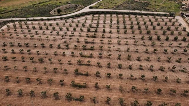 7 slaapkamer Villa te koop in Lorca - € 850.000 (Ref: 8084238)