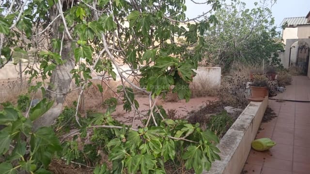 5 soveværelse Finca/Landehus til salg i Albox - € 100.000 (Ref: 8439956)