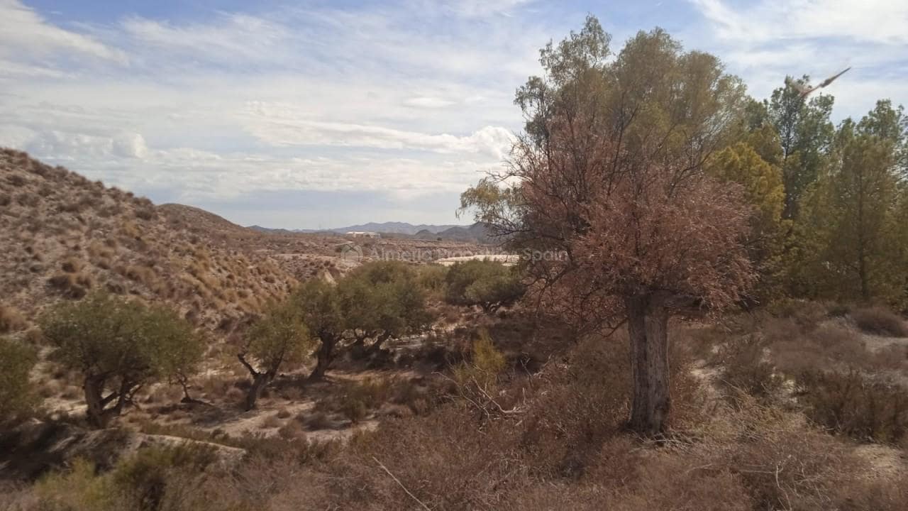 6 soveværelse Finca/Landehus til salg i Partaloa - € 450.000 (Ref: 8769754)