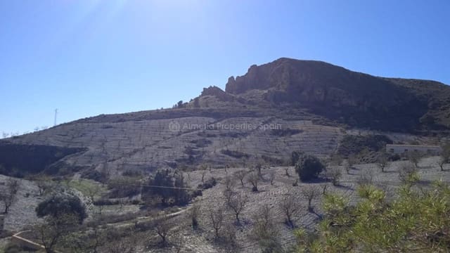 7 slaapkamer Finca/Landhuis te koop in Albox - € 110.000 (Ref: 8769755)