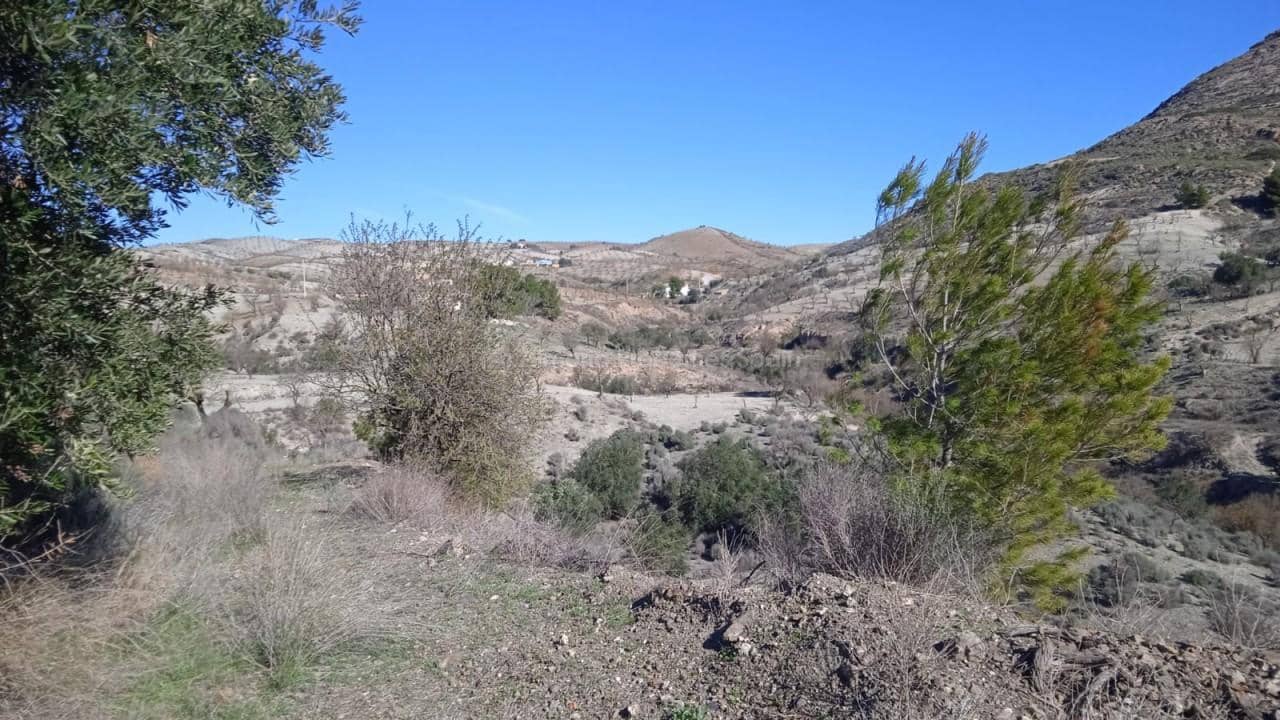 7 slaapkamer Finca/Landhuis te koop in Albox - € 110.000 (Ref: 8769755)