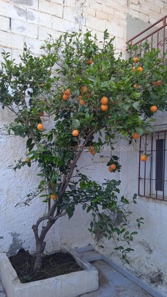 7 soveværelse Byhus til salg i Partaloa - € 97.000 (Ref: 8793170)