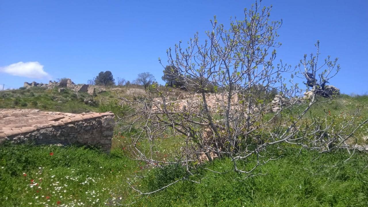 3 chambre Finca/Maison de Campagne à vendre à Oria - 27 000 € (Ref: 8951715)