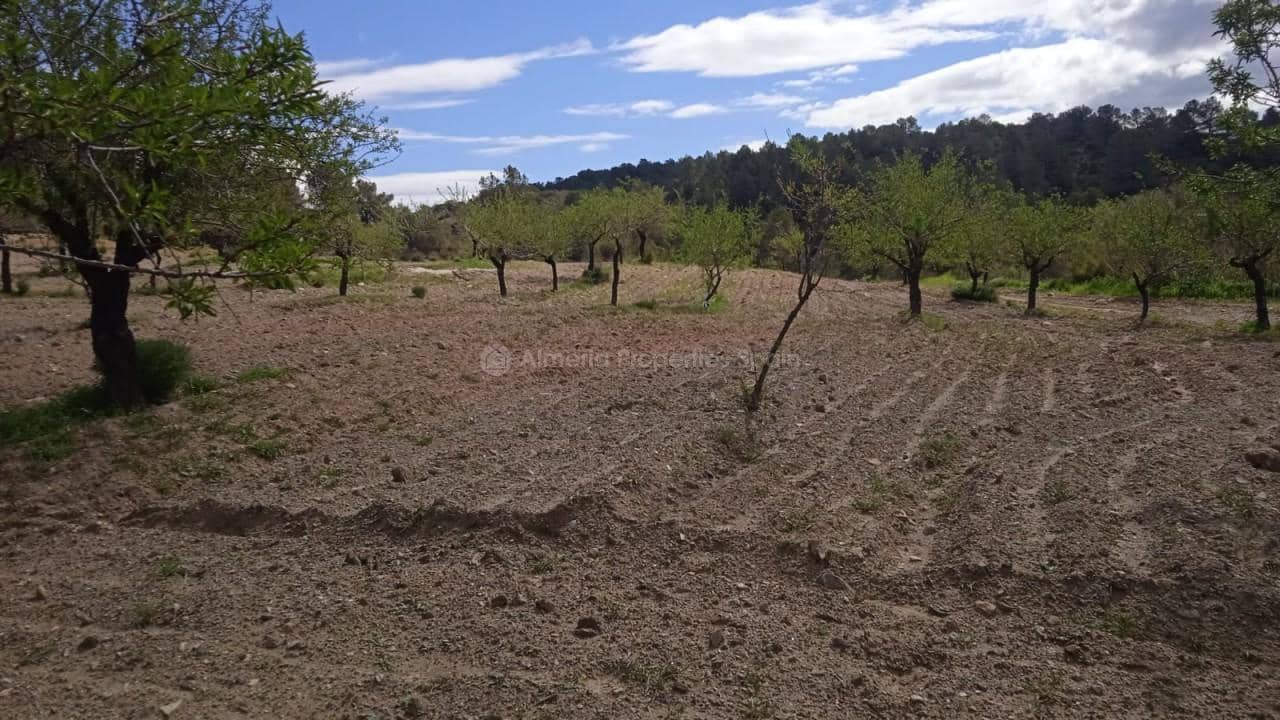 Finka/Dom wiejski na sprzedaż w Oria - 37 000 € (Ref: 8951717)