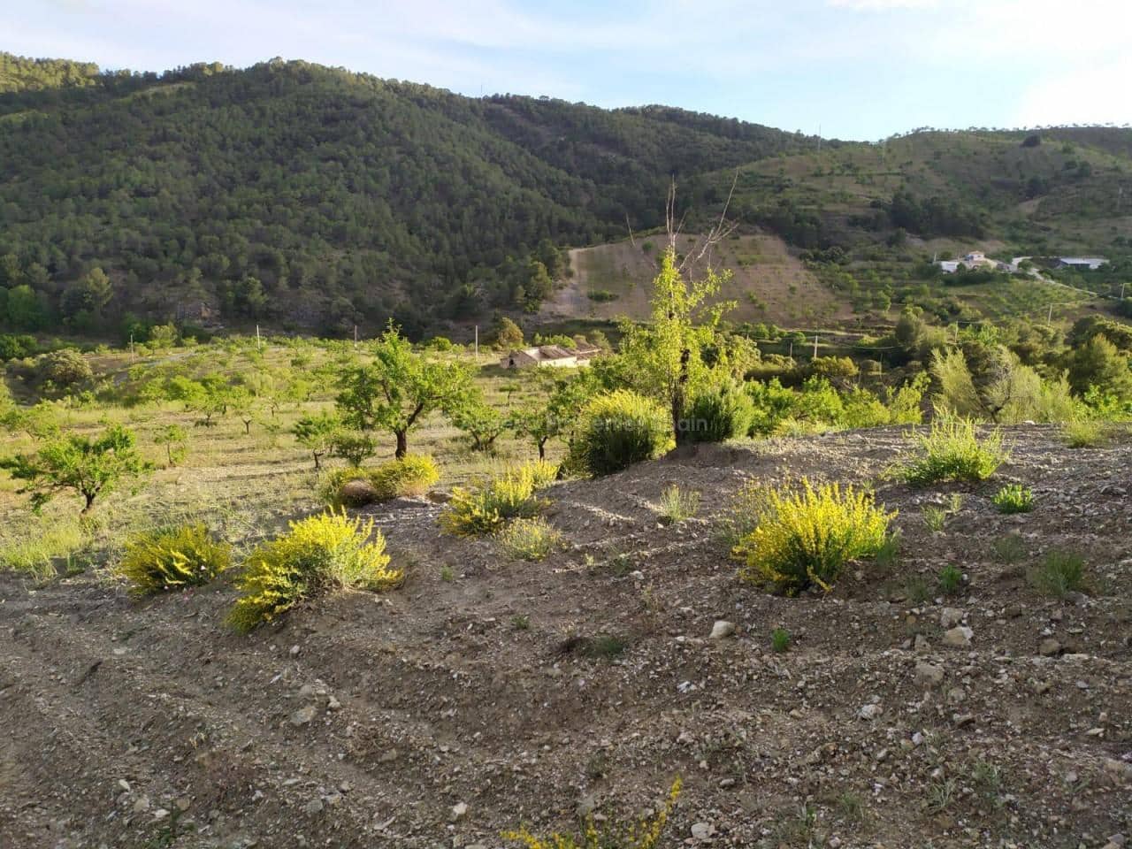 Finka/Dom wiejski na sprzedaż w Oria - 37 000 € (Ref: 8951717)