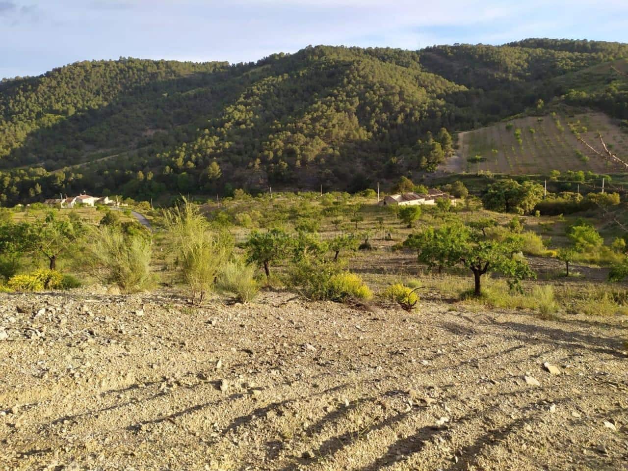 Finka/Dom wiejski na sprzedaż w Oria - 37 000 € (Ref: 8951717)