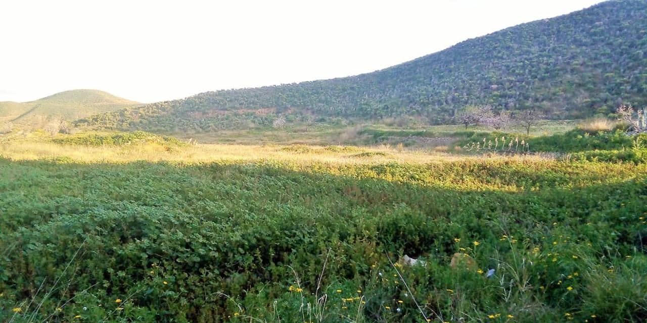 Finca/Landehus til salg i Arboleas - € 12.000 (Ref: 9175998)