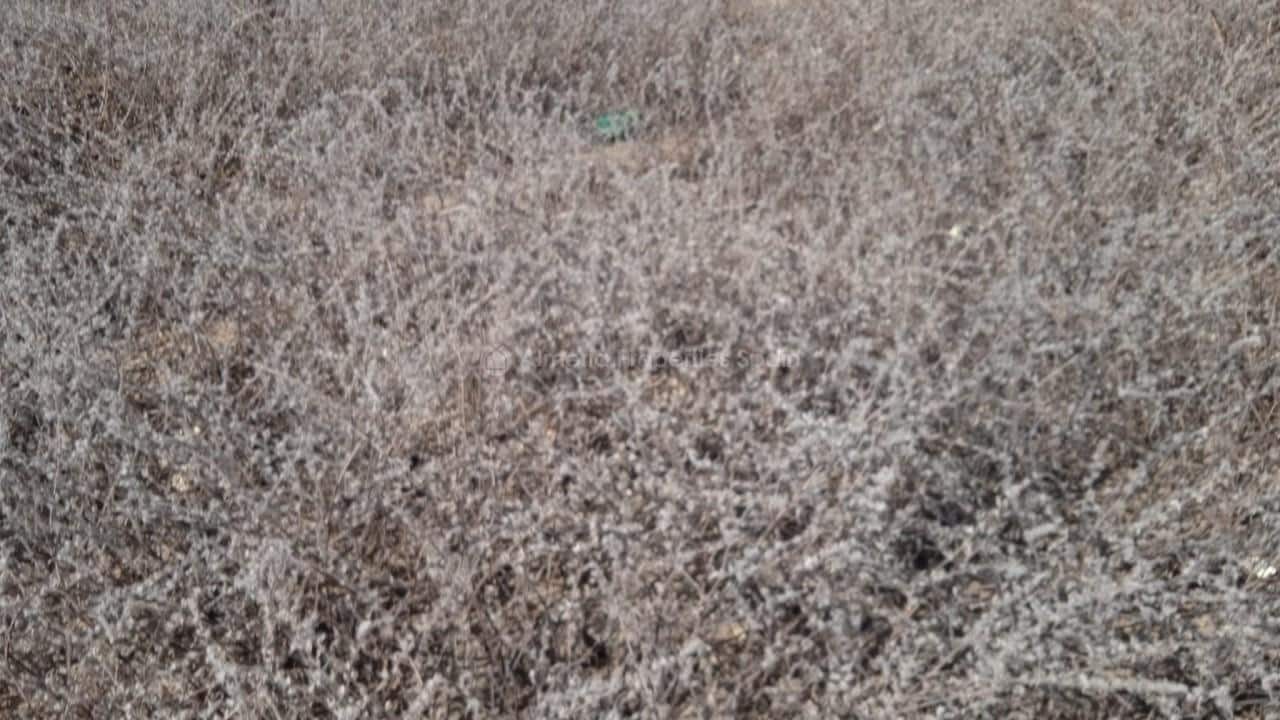 Finca/Country House for sale in Arboleas - € 33,000 (Ref: 9265655)