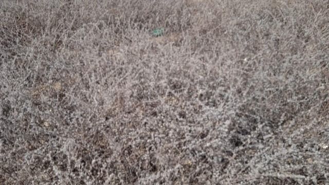 Finca/Landehus til salg i Arboleas - € 33.000 (Ref: 9265655)