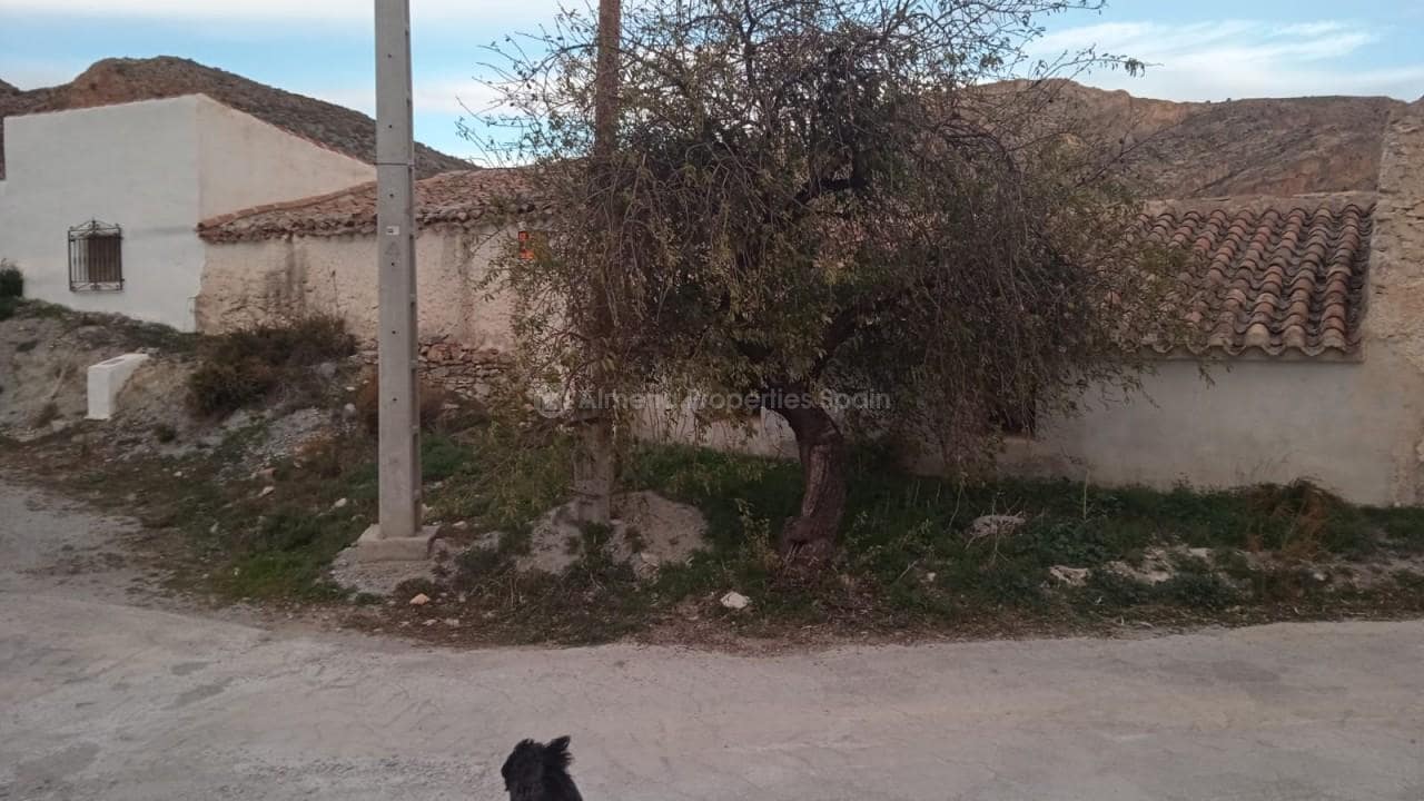 4 sypialnia Finka/Dom wiejski na sprzedaż w Oria - 86 000 € (Ref: 9384931)