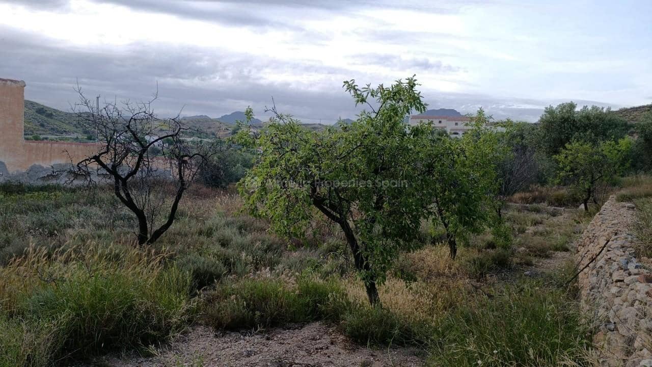 Finca/Landehus til salg i Albox - € 70.000 (Ref: 9826902)