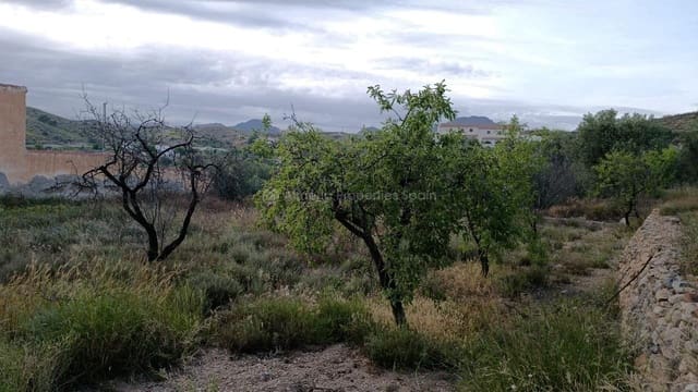 Finca/Landehus til salg i Albox - € 70.000 (Ref: 9826902)