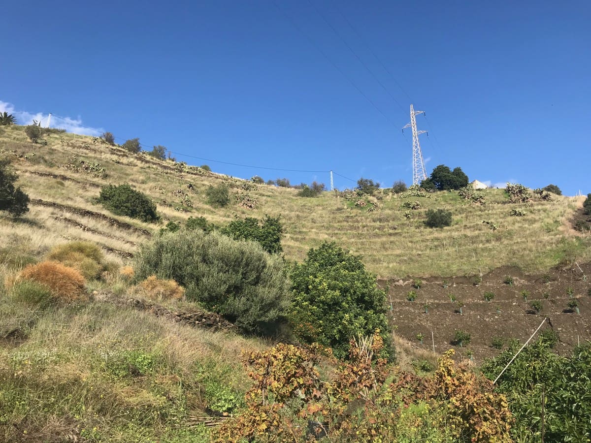 Grond te koop in Nerja - € 98.000 (Ref: 4209222)