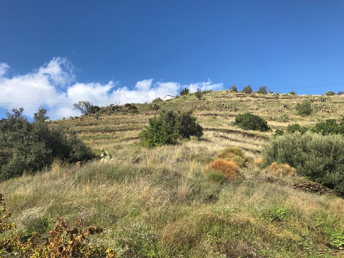 Terreno/Finca Rústica en Nerja en venta - 98.000 € (Ref: 4209222)