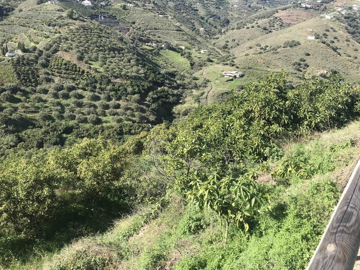 2 sypialnia Finka/Dom wiejski na sprzedaż w Frigiliana - 200 000 € (Ref: 4397679)