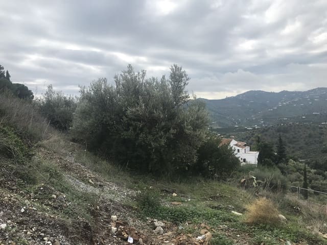 Terreno/Finca Rústica en Frigiliana en venta - 53.000 € (Ref: 4397680)