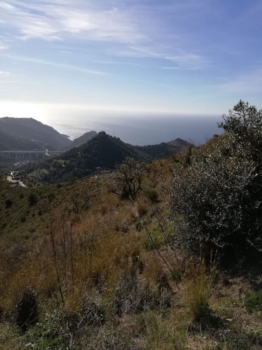 Undeveloped Land for sale in Nerja - € 149,000 (Ref: 4588653)