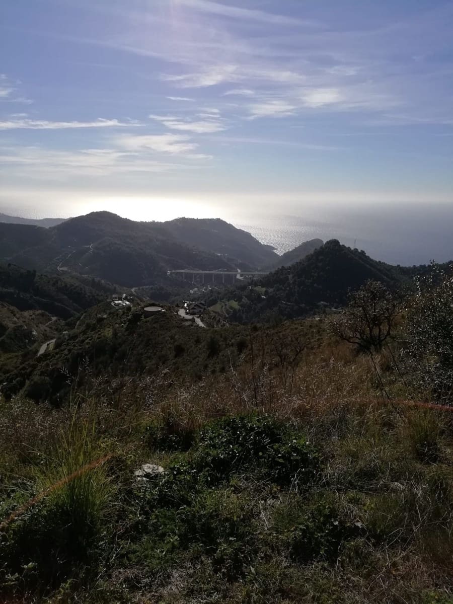 Terreno/Finca Rústica en Nerja en venta - 149.000 € (Ref: 4588653)