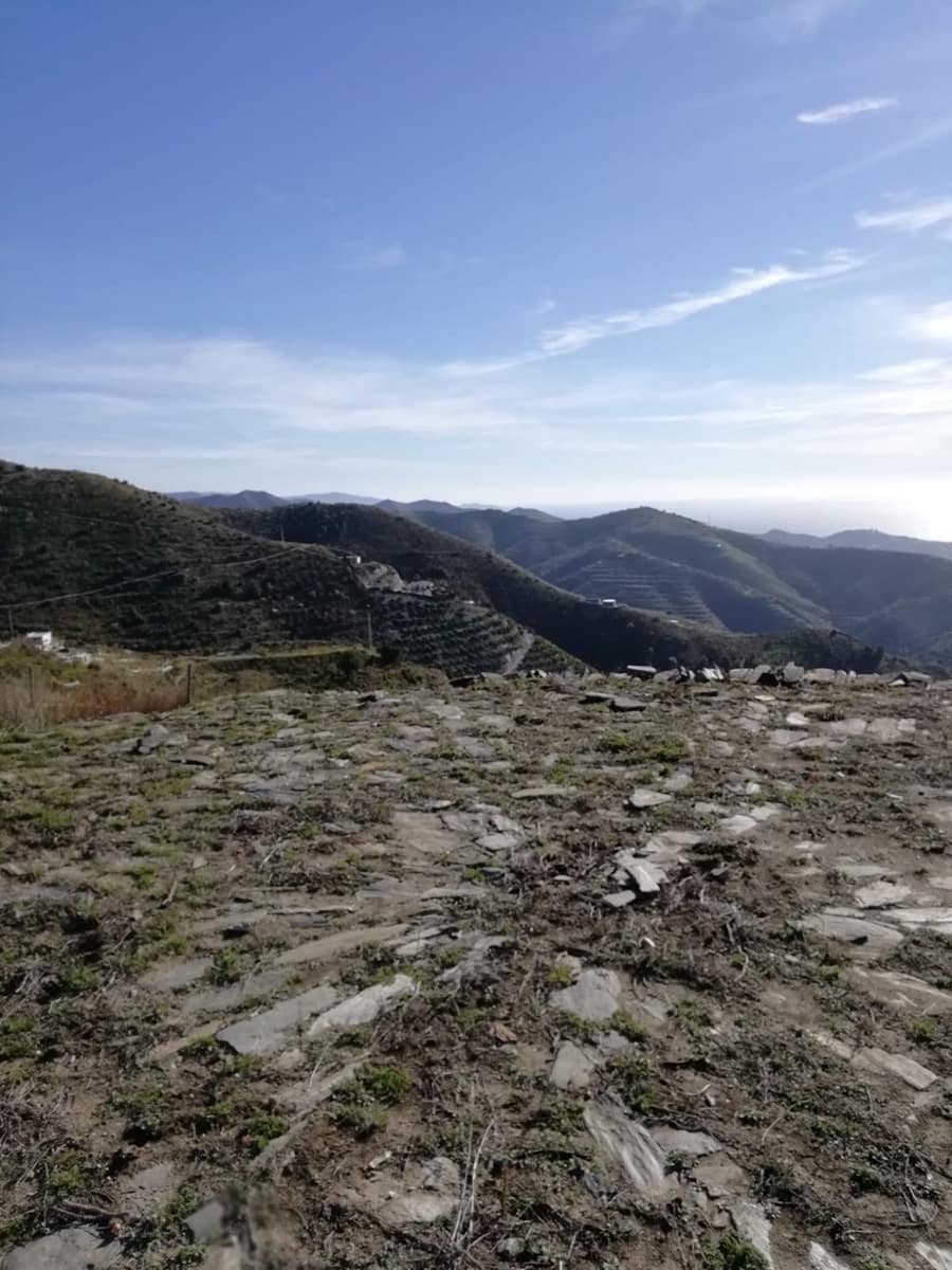 Terreno/Finca Rústica en Nerja en venta - 149.000 € (Ref: 4588653)