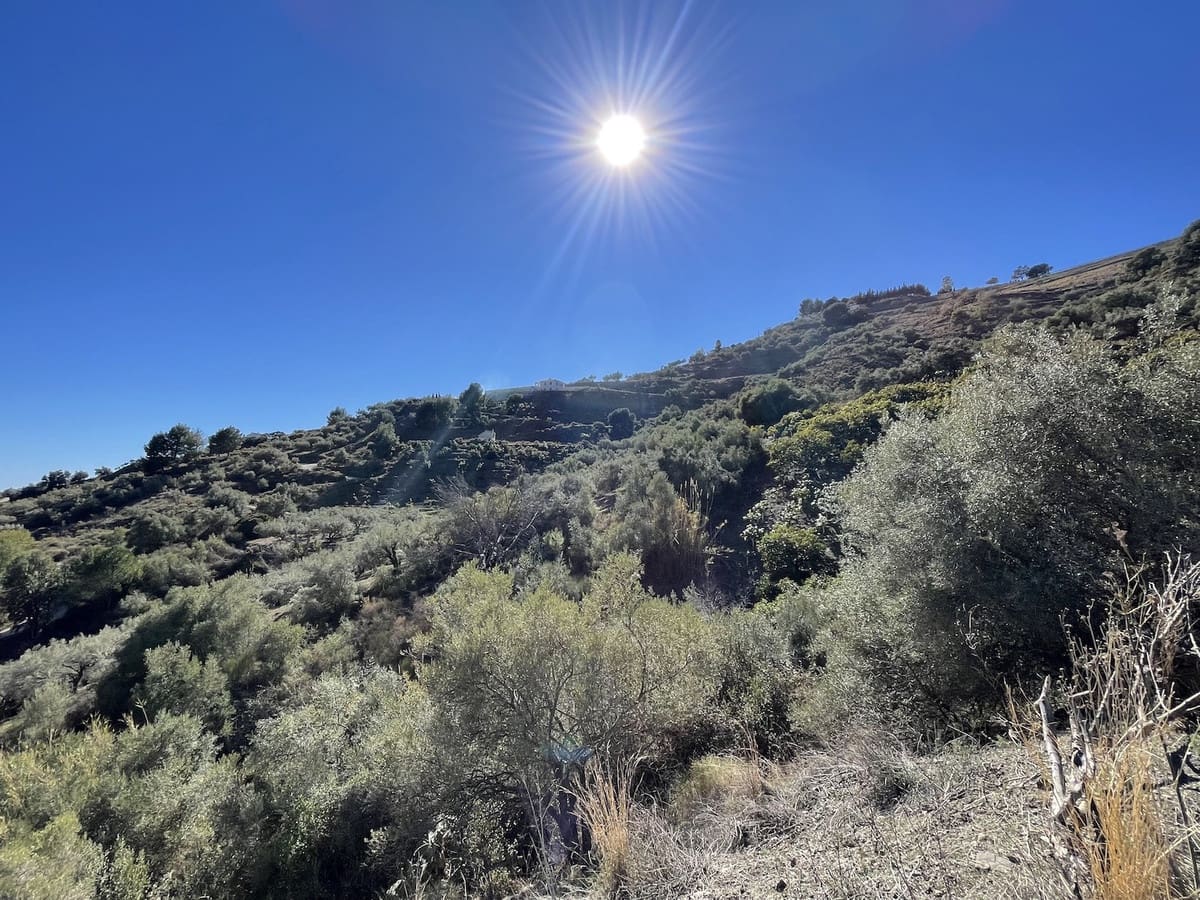 Terreno/Finca Rústica en Frigiliana en venta - 184.950 € (Ref: 6625554)