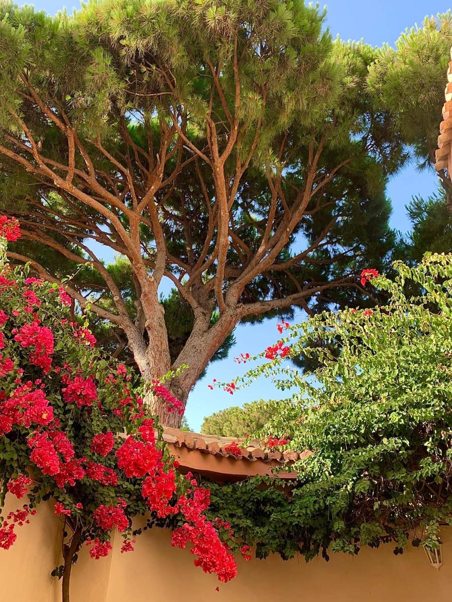 5 bedroom Villa for holiday rental in Calahonda with pool garage - € 6,000 (Ref: 8726937)