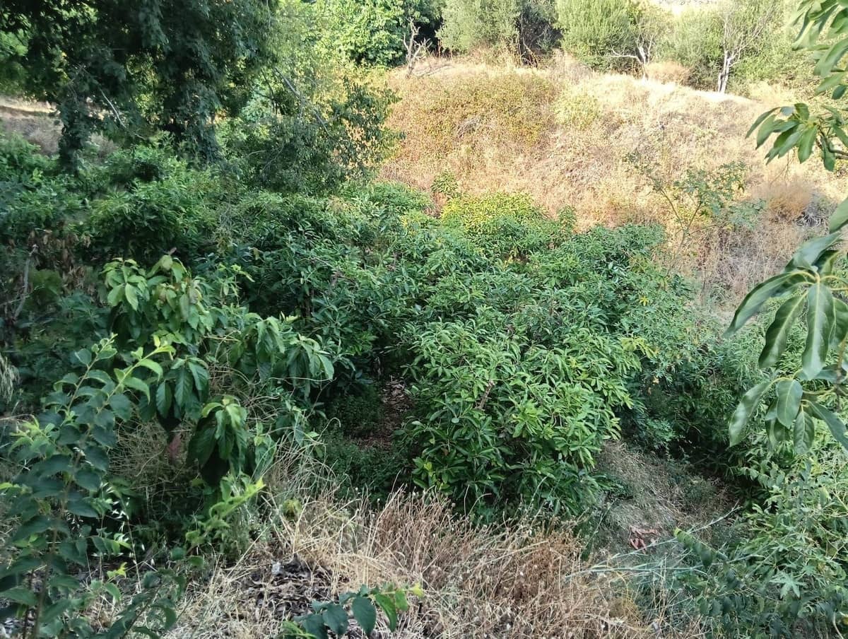 Teren niezagospodarowany na sprzedaż w Frigiliana - 60 000 € (Ref: 9432821)