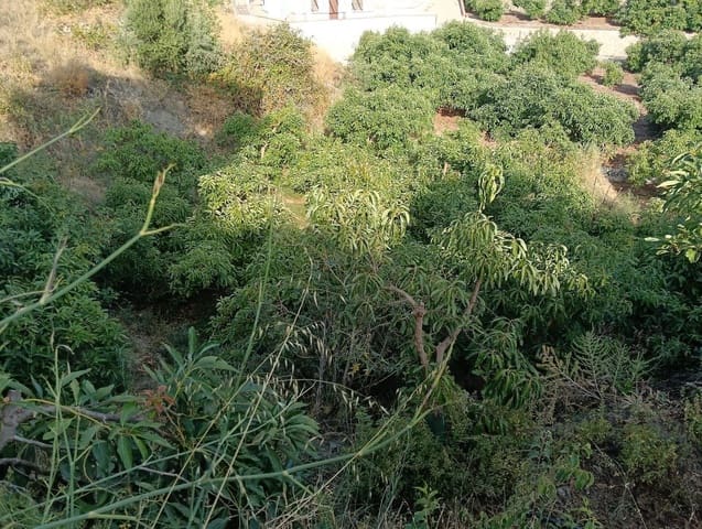 Grond te koop in Frigiliana - € 60.000 (Ref: 9432821)