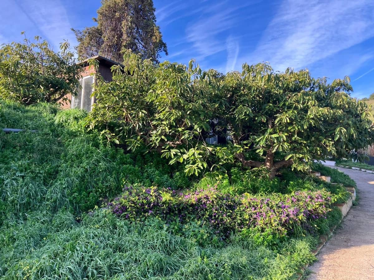 6 soverom Villa til salgs i Nerja med svømmebasseng garasje - € 1 099 000 (Ref: 9614239)