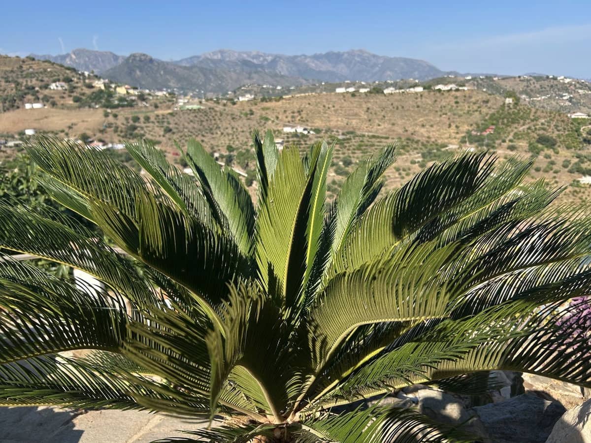 3 bedroom Villa for sale in Torrox with pool garage - € 350,000 (Ref: 9877493)
