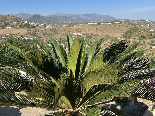 3 camera da letto Villa in vendita in Torrox con piscina garage - 350.000 € (Rif: 9877493)