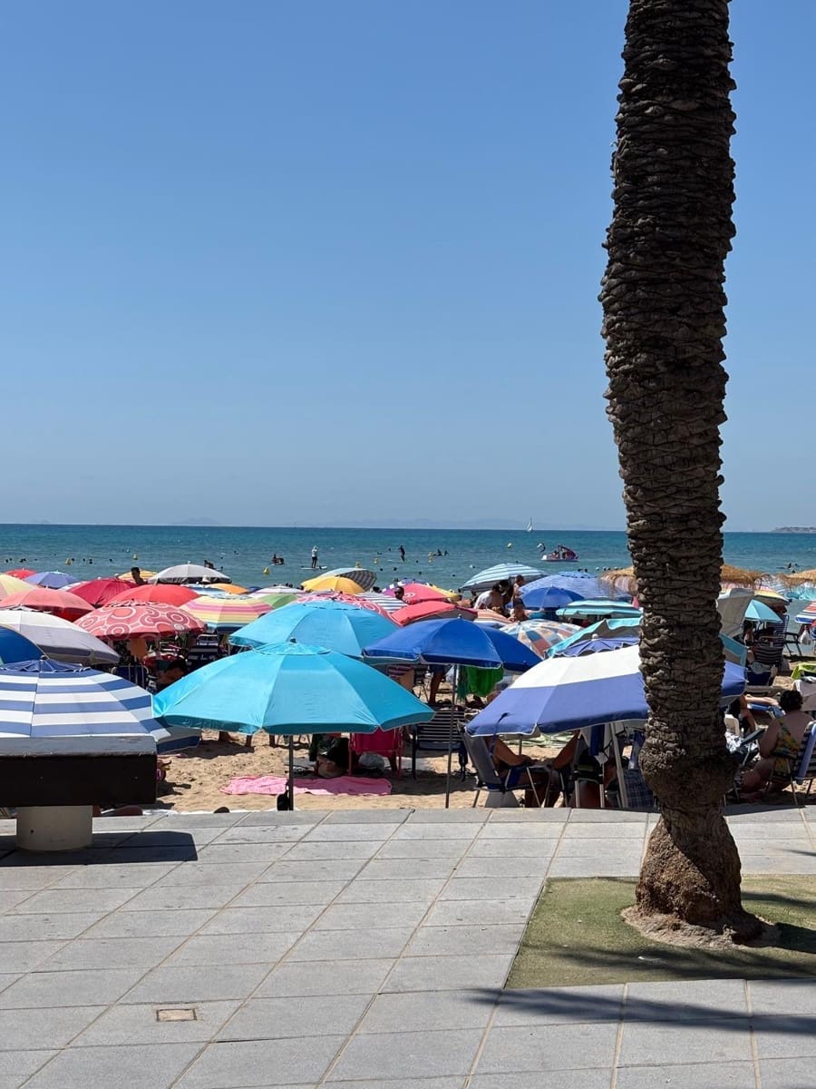 3 soverom Leilighet til salgs i Torrevieja - € 250 000 (Ref: 9431009)