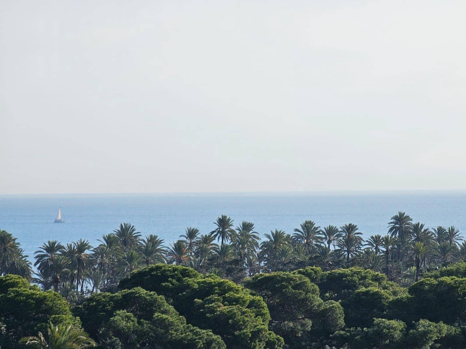 3 soveværelse Rækkehus til salg i Punta Prima - € 189.900 (Ref: 9449579)