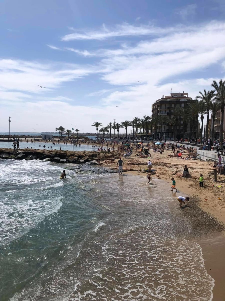 1 Zimmer Apartment zu verkaufen in Torrevieja - 119.000 € (Ref: 9994366)