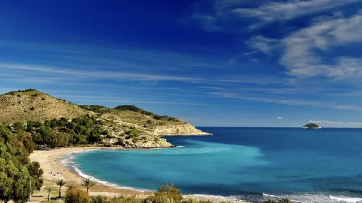 Biznes na sprzedaż w La Villajoyosa / Vila Joiosa - 160 000 € (Ref: 8156144)