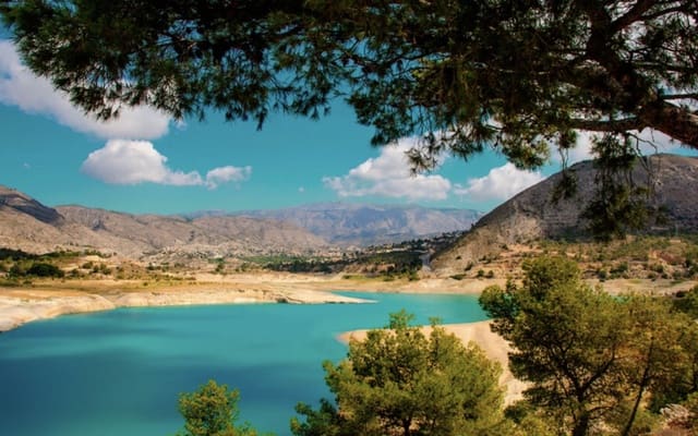 Business for sale in Poble Nou - Montiboli, La Villajoyosa / Vila Joiosa - € 160,000 (Ref: 8156144)