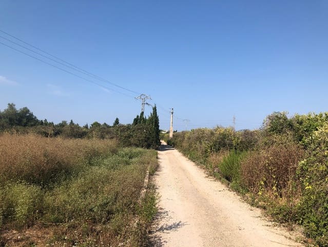 Landgrundstück zu verkaufen in Oliva Playa, Oliva - 422.000 € (Ref: 9630600)